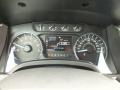 Steel Gray Gauges Photo for 2011 Ford F150 #62436256