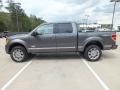 Sterling Gray Metallic 2012 Ford F150 Platinum SuperCrew 4x4 Exterior