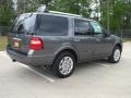 2012 Sterling Gray Metallic Ford Expedition Limited  photo #5