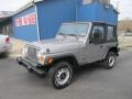 Silverstone Metallic 2000 Jeep Wrangler SE 4x4