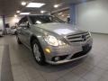 2008 Pewter Metallic Mercedes-Benz R 350 4Matic  photo #4