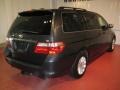 2006 Sage Brush Pearl Honda Odyssey Touring  photo #5