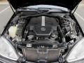 5.0 Liter SOHC 24-Valve V8 Engine for 2001 Mercedes-Benz S 500 Sedan #62452513