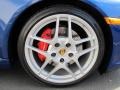 2009 Porsche 911 Carrera S Coupe Wheel and Tire Photo