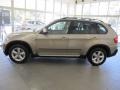 Platinum Bronze Metallic - X5 xDrive35d Photo No. 3