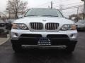 Titanium Silver Metallic - X5 4.4i Photo No. 2