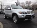 Titanium Silver Metallic - X5 4.4i Photo No. 3