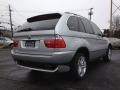 Titanium Silver Metallic - X5 4.4i Photo No. 4