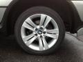 Titanium Silver Metallic - X5 4.4i Photo No. 7