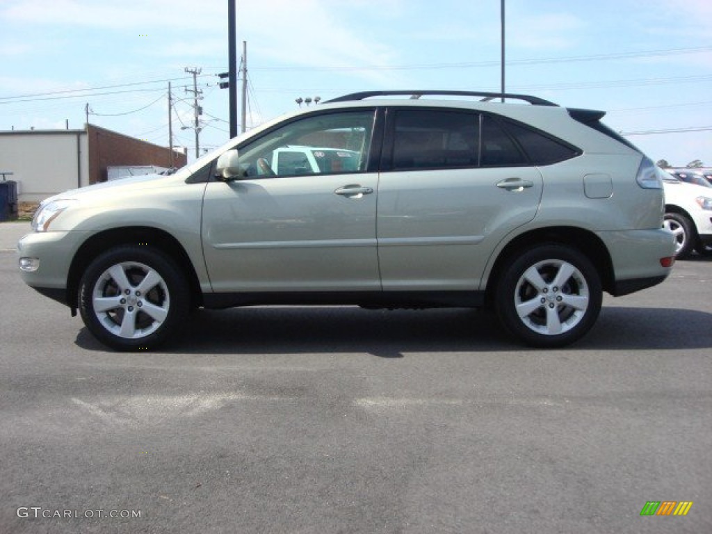 Bamboo Pearl 2006 Lexus RX 330 AWD Exterior Photo #62465863