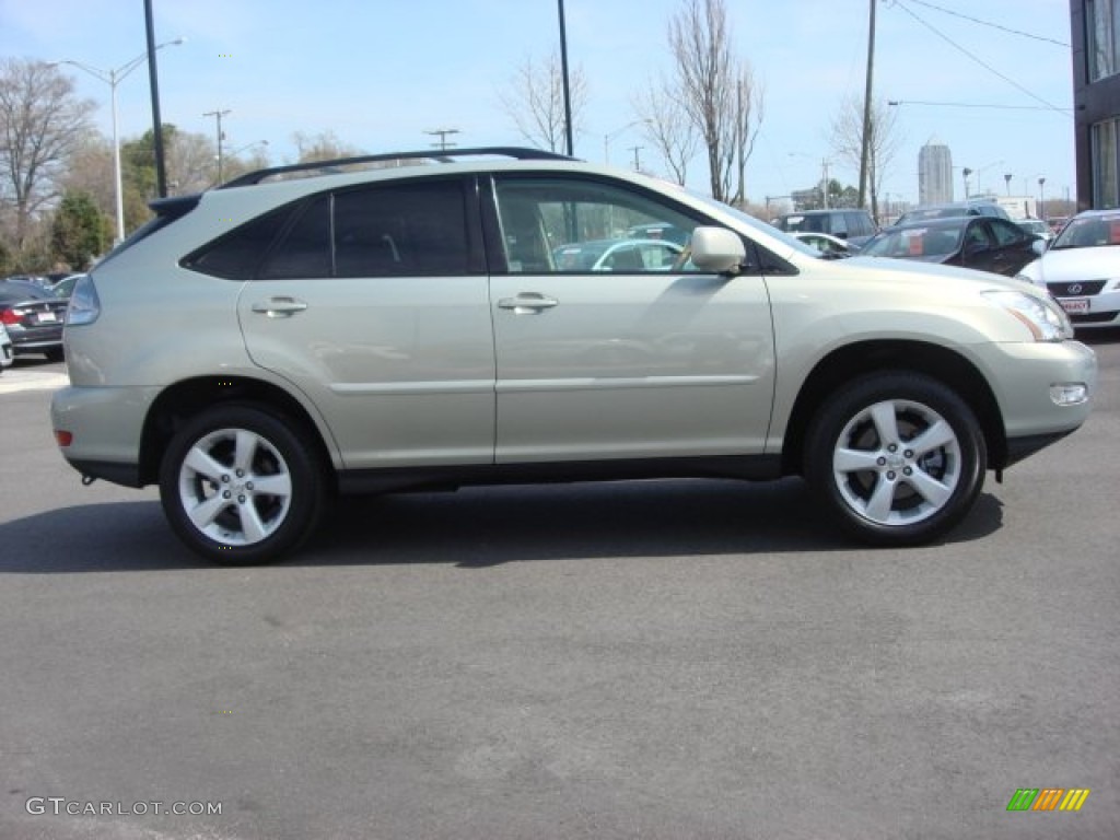 Bamboo Pearl 2006 Lexus RX 330 AWD Exterior Photo #62465893