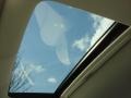 Tungsten Silver Pearl - ES 350 Photo No. 10