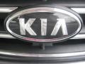 Alpine Gray - Sorento LX Photo No. 23