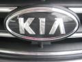 2008 Alpine Gray Kia Sorento LX  photo #23