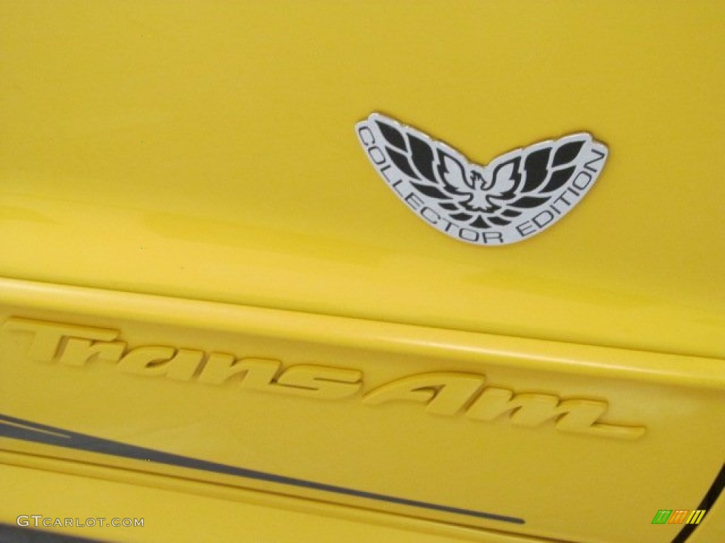 2002 Firebird Trans Am WS-6 Coupe - Collector Edition Yellow / Ebony Black photo #4
