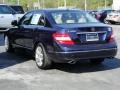 2009 Capri Blue Metallic Mercedes-Benz C 300 Luxury  photo #7