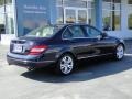 2009 Capri Blue Metallic Mercedes-Benz C 300 Luxury  photo #9