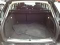Black Trunk Photo for 2009 Audi A4 #62475583