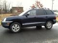 Moonlit Blue 2004 Hyundai Santa Fe 