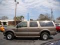Mineral Grey Metallic 2003 Ford Excursion Limited 4x4 Exterior