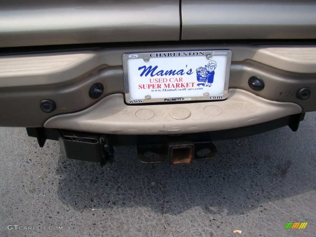 2003 Excursion Limited 4x4 - Mineral Grey Metallic / Medium Parchment photo #38