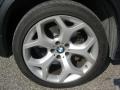 Black Sapphire Metallic - X5 4.8i Photo No. 33