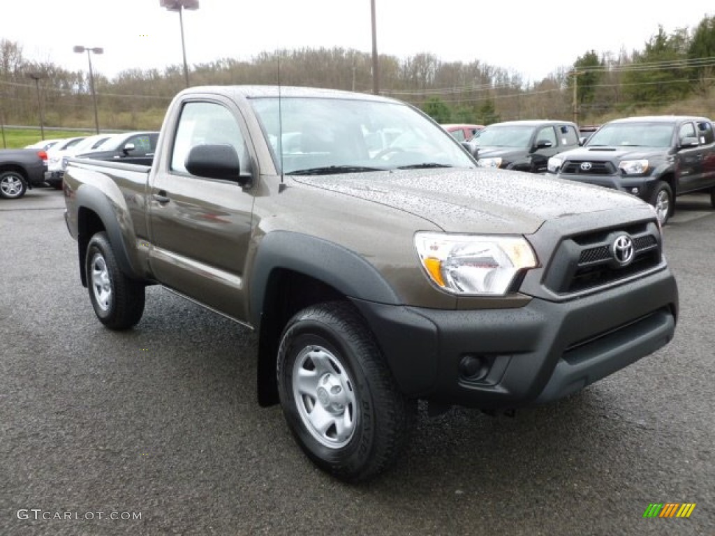 Pyrite Mica Toyota Tacoma