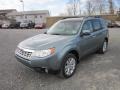 2012 Sage Green Metallic Subaru Forester 2.5 X Premium  photo #3