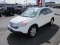 Taffeta White - CR-V EX-L 4WD Photo No. 7