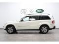 Arctic White - GL 450 4Matic Photo No. 2