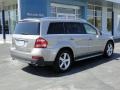 2009 Pewter Metallic Mercedes-Benz GL 450 4Matic  photo #11