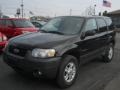 2006 Black Ford Escape XLT V6 4WD  photo #1