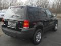 2006 Black Ford Escape XLT V6 4WD  photo #2