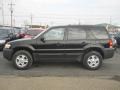 2006 Black Ford Escape XLT V6 4WD  photo #12