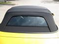 Rio Yellow Pearl - S2000 Roadster Photo No. 48