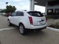 Platinum Ice Tricoat - SRX Performance Photo No. 4