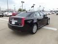Black Raven - CTS 3.0 Sedan Photo No. 3
