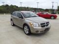 Light Sandstone Metallic - Caliber SXT Photo No. 2