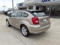Light Sandstone Metallic - Caliber SXT Photo No. 4