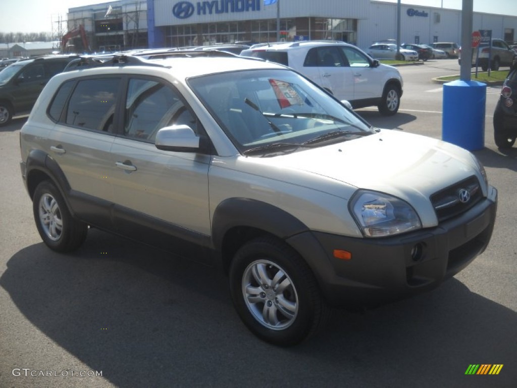 Desert Sage Metallic Hyundai Tucson