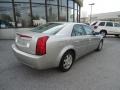 Light Platinum - CTS Sedan Photo No. 6