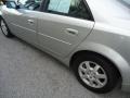 Light Platinum - CTS Sedan Photo No. 46