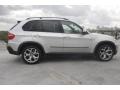 Titanium Silver Metallic - X5 xDrive48i Photo No. 6