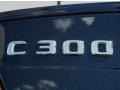 2011 Mercedes-Benz C 300 Sport Badge and Logo Photo