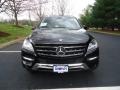 Black - ML 350 4Matic Photo No. 2