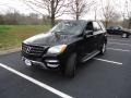 Black - ML 350 4Matic Photo No. 3