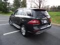 Black - ML 350 4Matic Photo No. 5