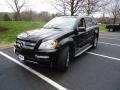 Black - GL 450 4Matic Photo No. 3