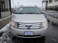 Silver Birch Metallic - Taurus X Limited AWD Photo No. 2