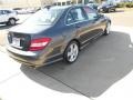 Steel Grey Metallic - C 300 Luxury Photo No. 6